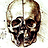 favicon.ico